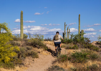 Man Riding A Mountain Bike Up A Desert Trail In  Preserve Scottsdale AZ At Spring Time