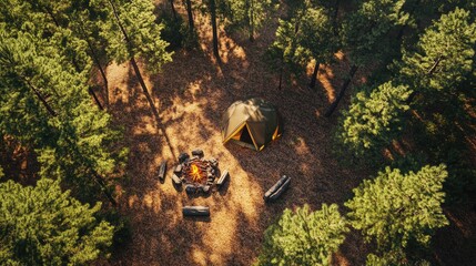 Cozy Camping Scene with Tent and Campfire Surrounded by Lush Green Forest in Natural Setting