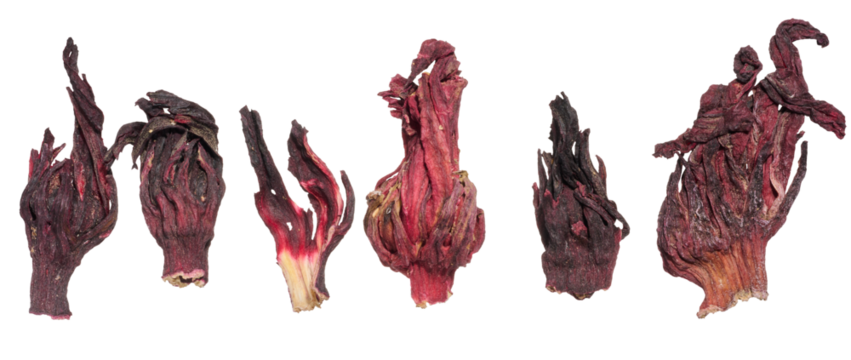 Dried hibiscus petals ,karkade flower with a deep red color and wrinkled texture.Used for herbal tea, antioxidants