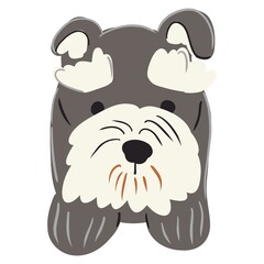 Cute Schnauzer Dog Illustration – Hand Drawn Cartoon Style Puppy Face