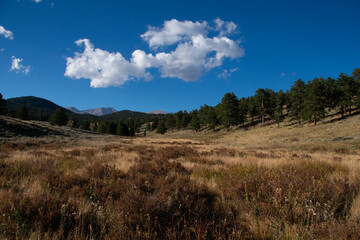 field of grass leading on to the mountains 