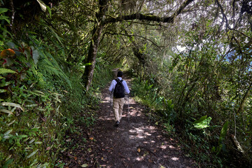Obraz premium Chasing ancient footsteps on the legendary Inca Trail. Each step brings us closer to the lost city of Machu Picchu and deeper into the heart of history. Cusco Peru