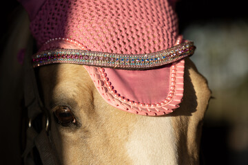 Palomino horse with pink bonnet and rhinestone bridle band