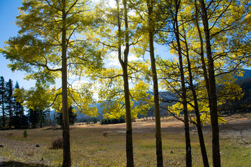 Mountain valley in autumn