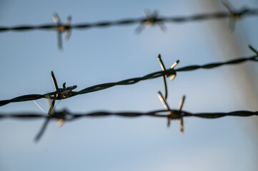 barbed wire