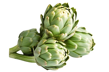 Obraz premium Fresh Green Vegetables in a Cluster Ideal for Culinary and Botanical Themes