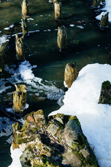 trunks of old trees in the river near the waterfall