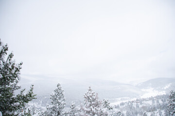 Rollinsville Colorado after snowfall