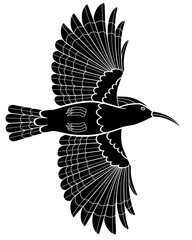 Hoopoe, bird in flight - vector silhouette picture for logo or pictogram. Hoopoe, bird for sign or icon.	