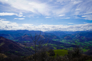 Obraz premium Trees In Front of Grassy Rolling Hills With Snowy Mountains In The Distance With Cloudy Blue Sky