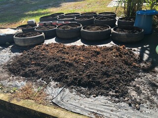 A home garden with organic soil being prepared, compost fertilizer applied, old tires used as planting containers, home gardening hobby, sustainable farming concept