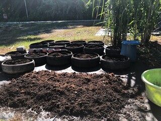 A home garden with organic soil being prepared, compost fertilizer applied, old tires used as planting containers, home gardening hobby, sustainable farming concept