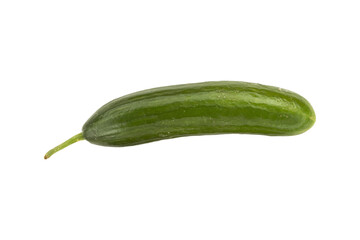 Fresh green cucumber is isolated. Close-up.