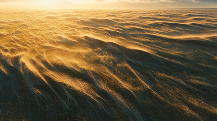 Serene golden waves of grass swaying gently in the breeze under a sunset sky, creating a tranquil scene