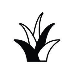 Yucca Vector icon