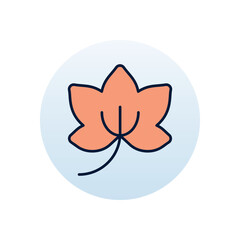 English ivy Vector icon