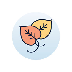 Devils ivy Vector icon