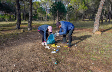 Adults picking up litter in protected pine forest