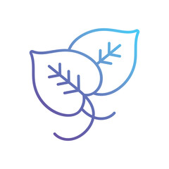 Devils ivy Vector icon