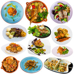 Set of various dishes from fowl isolated on white background..