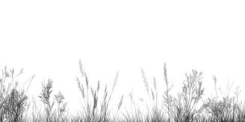 Architectural Drawings, Minimal style cad tree line drawing, Side view, set of section mountian forest outline symbol for landscape design drawing. illustration in stroke fill in white. 