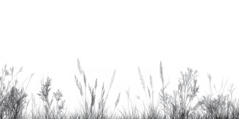 Architectural Drawings, Minimal style cad tree line drawing, Side view, set of section mountian forest outline symbol for landscape design drawing. illustration in stroke fill in white. 