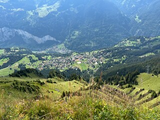Obraz premium swiss town of grindelwald nestled in the mountains and green meadows