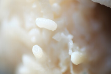 Bacteria growth on white rice kept in the fridge for a week