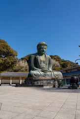 Naklejka premium 鎌倉大仏 高徳院