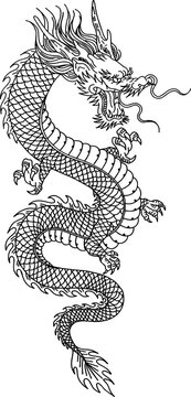 Oriental dragon vector illustration for tattoo. Editable vector of Japanese, Chinese and Asian dragon. Dragon decal