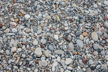 Rocky Beach Near a Hotel – Need for Water Shoes