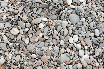 Rocky Beach Near a Hotel – Need for Water Shoes