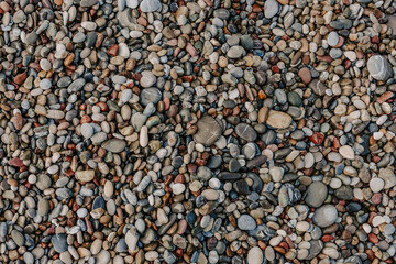 Rocky Beach Near a Hotel – Need for Water Shoes