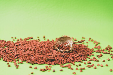 Annatto tree bixa orellana seeds 