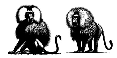 Silhouettes of African Wildlife: Lion, Baboon, and Monkey