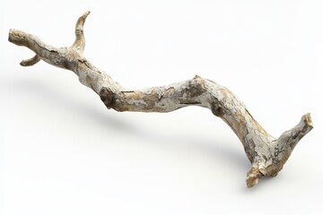 Fototapeta premium Weathered tree branch with dry peeling bark and slightly curved shape isolated on white background for nature-inspired compositions