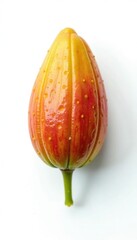 Tiny details of isolated seed on white background, botanical, seed, botanicals