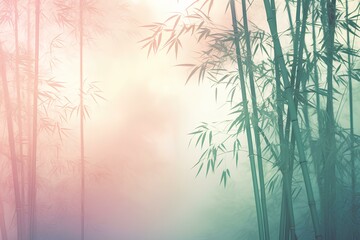 Fototapeta premium bamboo forest background