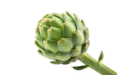 testy Artichoke isolated on transparent background