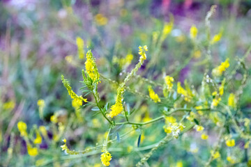 Wildfires growing in Colorado
