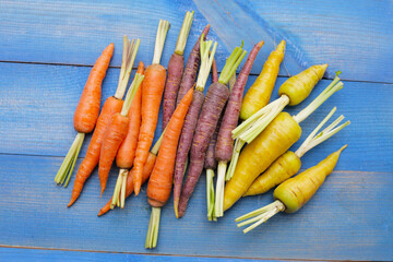 Fresh carrot vegetables, Ripe carrots