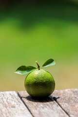 Simple File on Wooden Surface