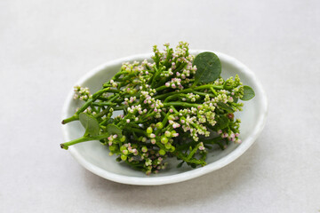 Fresh Flower of Ceylon Spinach or, Malabar Nightshade