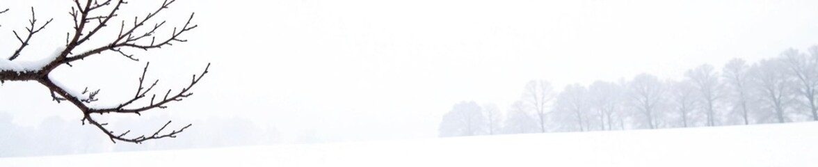 Naklejka premium Isolated branches on a snowy white background, bare, barren, cold