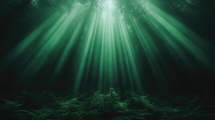 Sunlight streams through underwater forest.  Emerald light illuminates submerged flora