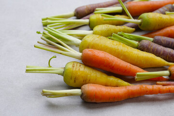 Fresh carrot vegetables, Ripe carrots