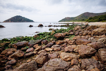 Rocky Shoreline Covered in Green Algae with Island View on a Cloudy Day