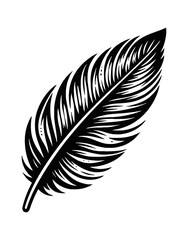 Isolated feather with black and white line art design on a white background, design element