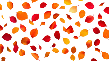Falling autumn leaves on transparent background: seamless autumn pattern