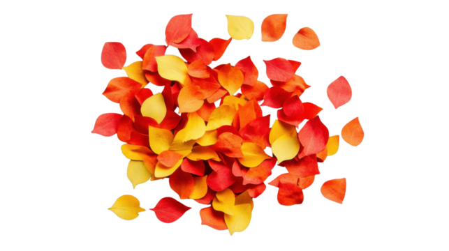 Colorful autumn leaves falling on transparent background